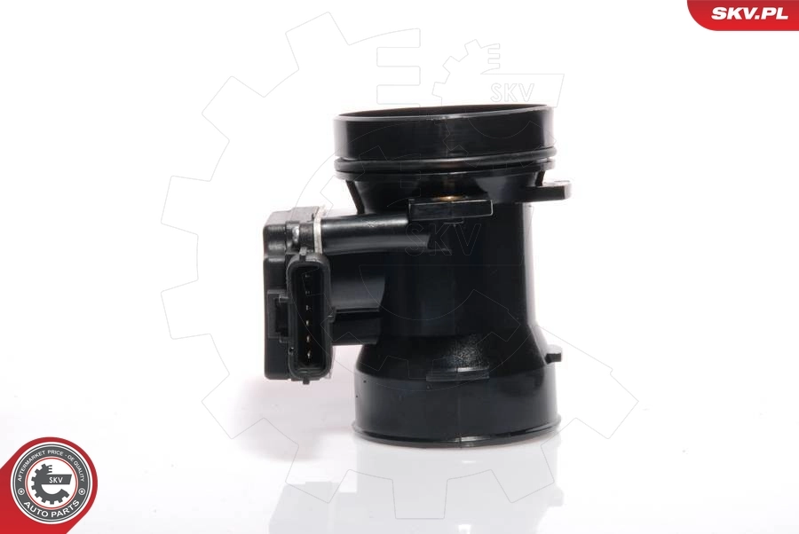 Mass Air Flow Sensor